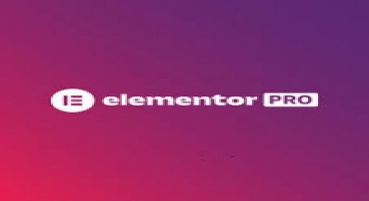 I will install elementor pro original license key